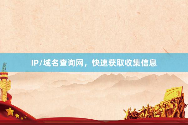 IP/域名查询网，快速获取收集信息