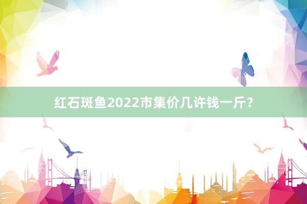 红石斑鱼2022市集价几许钱一斤?